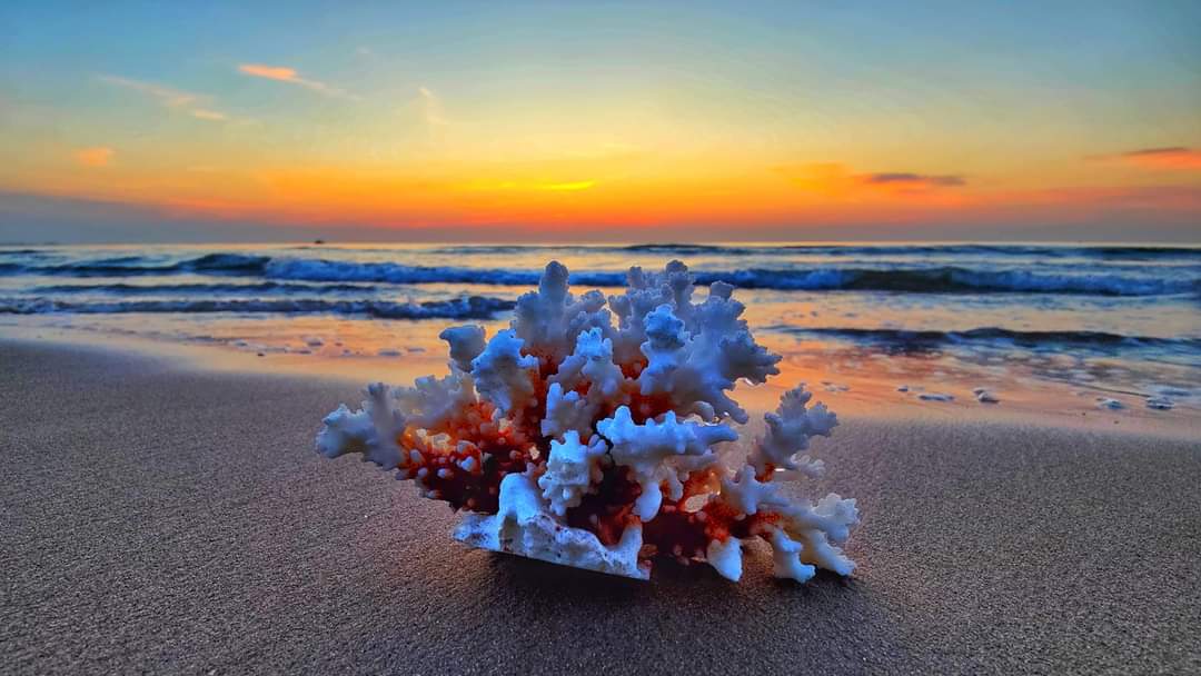 WhatsApp Image 2023-06-20 at 08.05.51